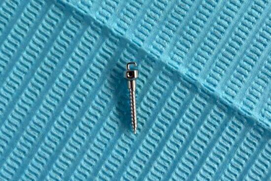 これが実物です!